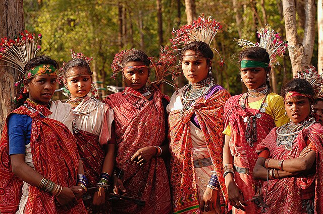 Matching of Habitat Rights (Habitat Rights) of Baga Tribe in Chhattisgarh, what does it mean?